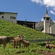 Binn – Hockmatta – Wasen