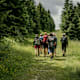 Kammweg Etappe 09 "Von Oberwiesenthal nach Rittersgrün"