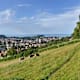 Nahtour 8 St.Gallen - Weiherwandern