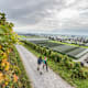 Rheintaler Weinwanderweg