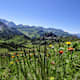 Von Malbun auf den Schönberg