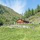 Wanderung zur Plattner Alm vom Weiler Platten