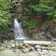 Wassererlbenis Gnoppnitzklamm bei Greifenburg