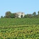 Rundtour Ilsfeld über Weinberge