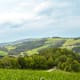 Wiener Alpenbogen - Etappe 6: Von Bad Schönau nach Gschaidt