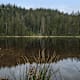 Wanderung zur Darmstädter Hütte vom Ruhestein über den Wildsee im Nationalpark Schwarzwald