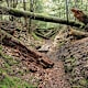 Der Wildnispfad
