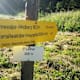 Vom Steinalpl über Kleinboden auf den Windberg im Naturpark Mürzer Oberland