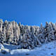 Winter Wonder Trail