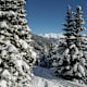 Zur Frommes Alp