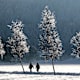 Winterwanderung - Sonnenweg