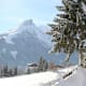 Winterwanderweg Fulpmes - Medraz