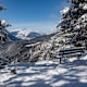 Kulinarik Trail "Wald & Winter" - La senda dils gusts