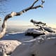 Hinauf auf den Lilienstein