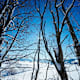 Winterwanderweg durchs Schwarzenbachtal