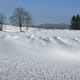 Winterwanderweg - große Runde Königswiesen