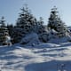 Winterwanderweg Königswiesen - kleine Runde