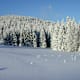 Winterwanderweg von Schöneben nach Hochficht
