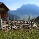 Wanderung zur Wolfratshauser Hütte von Lermoos
