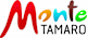 Logo Monte Tamaro SA