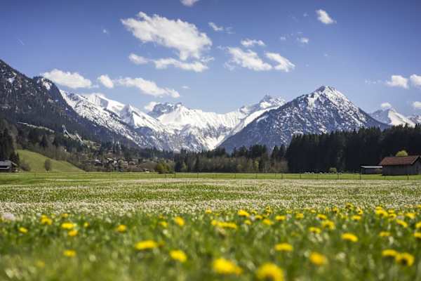 Keine andere Jahreszeit bietet so schöne Kontraste wie der Frühling.