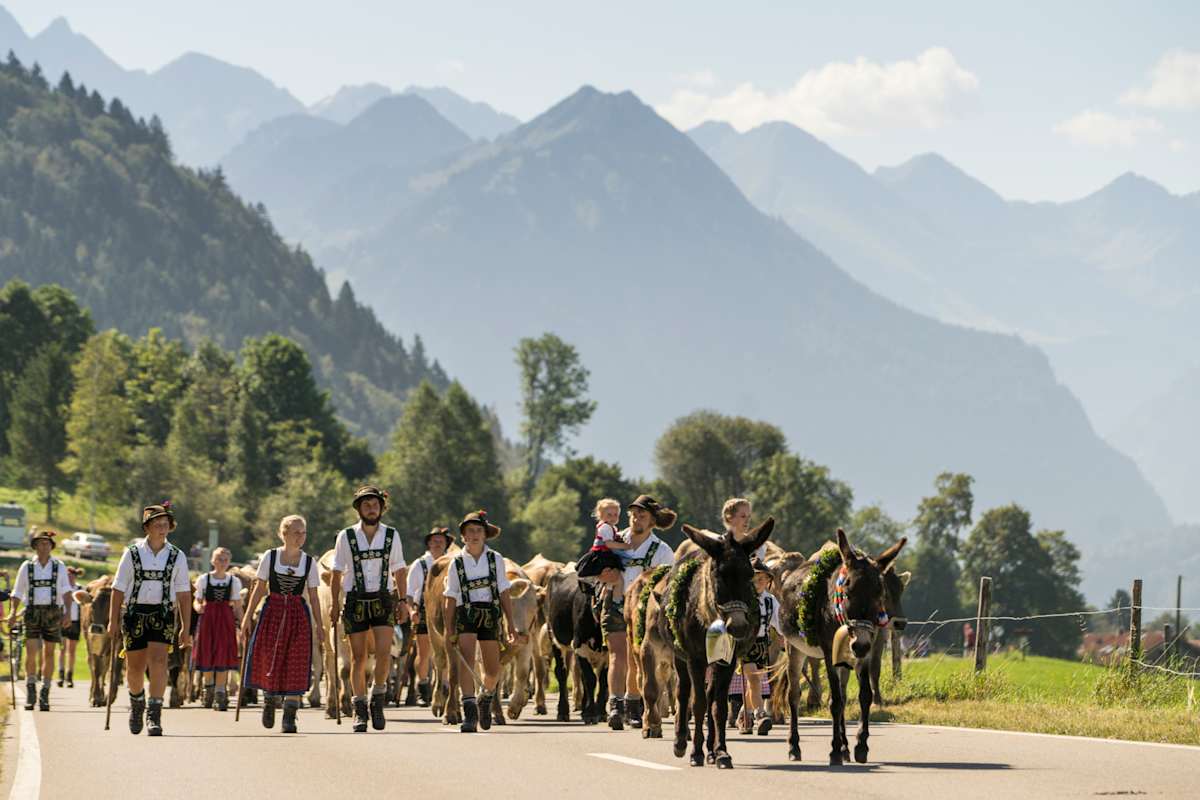 Viehscheid in Oberstdorf