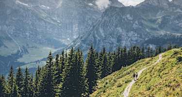 Wanderer mit Rucksäcken auf Alpenüberquerung