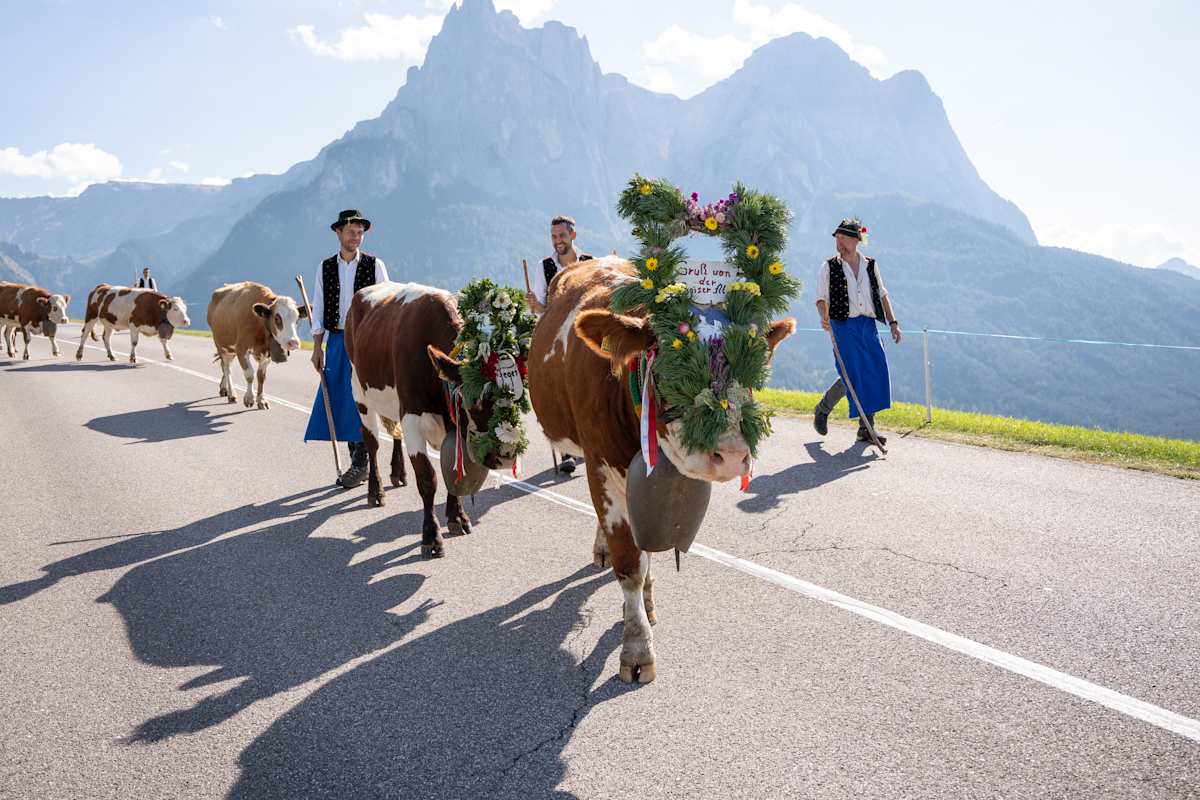 Almabtrieb Seiser Alm