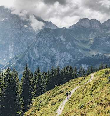 Wanderer mit Rucksäcken auf Alpenüberquerung