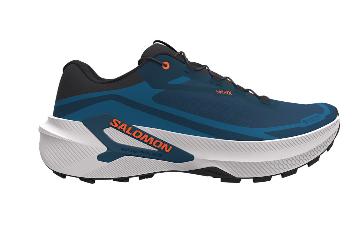 Salomon_4