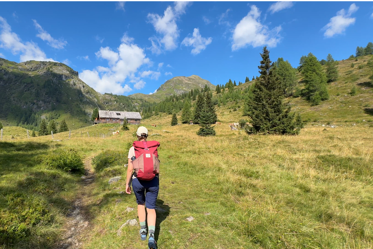 Nach dem schattigen Wald öffnet sich der Weg auf die Almwiesen. Die Tonimörtlhütte ist bereits in Sicht – und auch der Wirpitschsee ist nicht mehr weit.