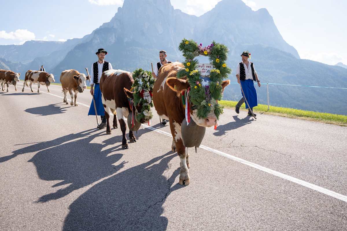 Almabrieb auf der Seiser Alm