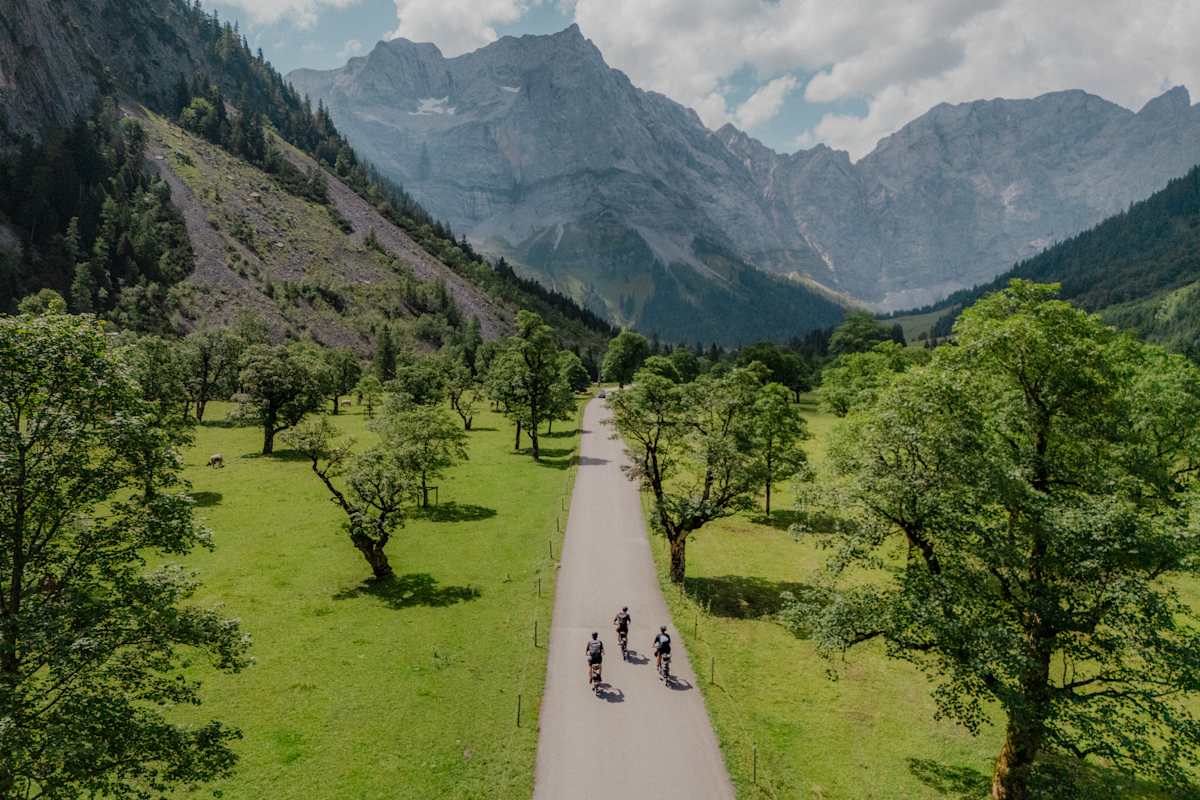 Das Karwendel vor Augen: weite Almflächen, alte Ahornbäume und grasende Kühe.