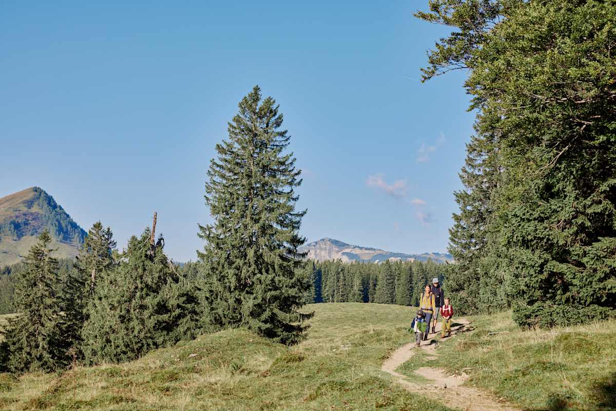 Wanderung mit Kindern auf der Postalm 