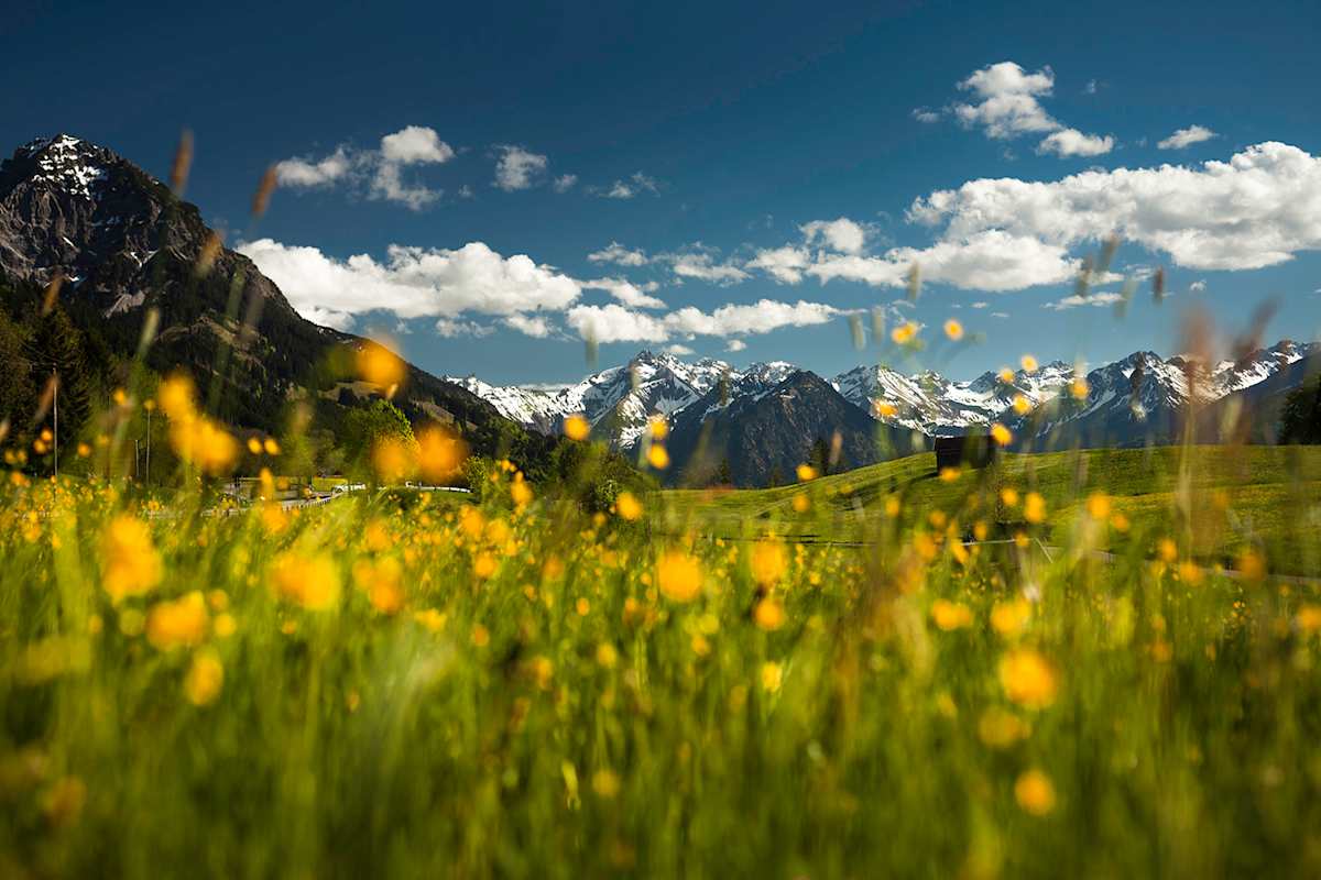 Allgäuer Berge