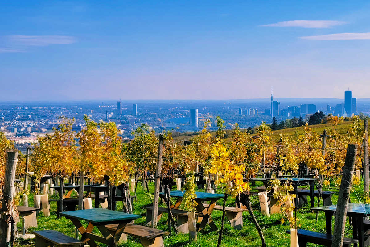 Das vivo V40 fängt die herbstlichen Farben und das Panorama perfekt ein.