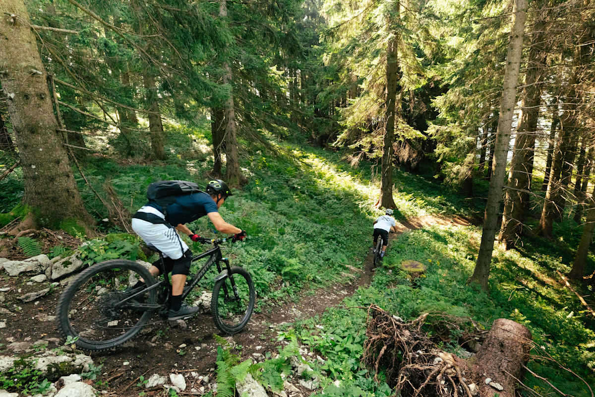Zwei Mountainbiker fahren durch Wald auf einem Trail bergab.