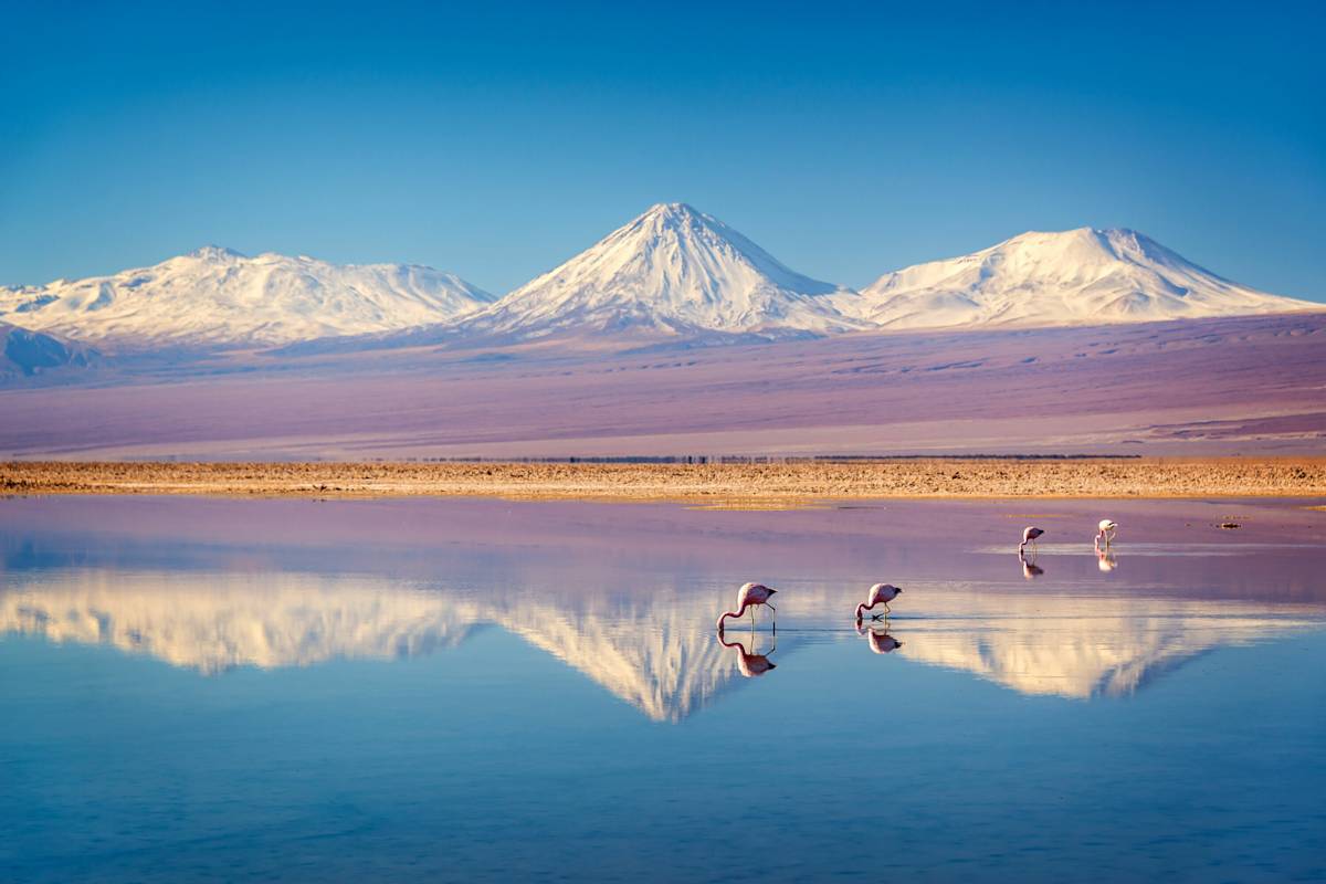 Chile Atacama