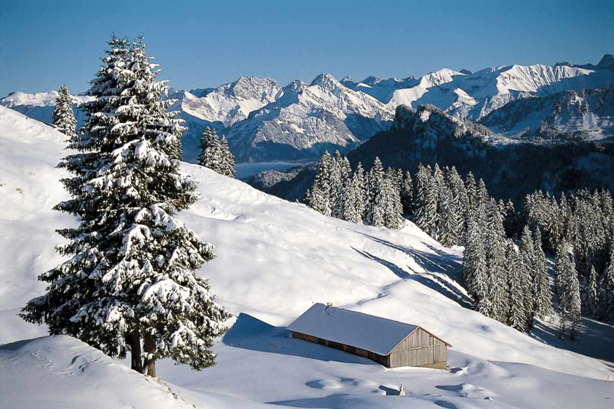 Allgäu: Piesenkopf