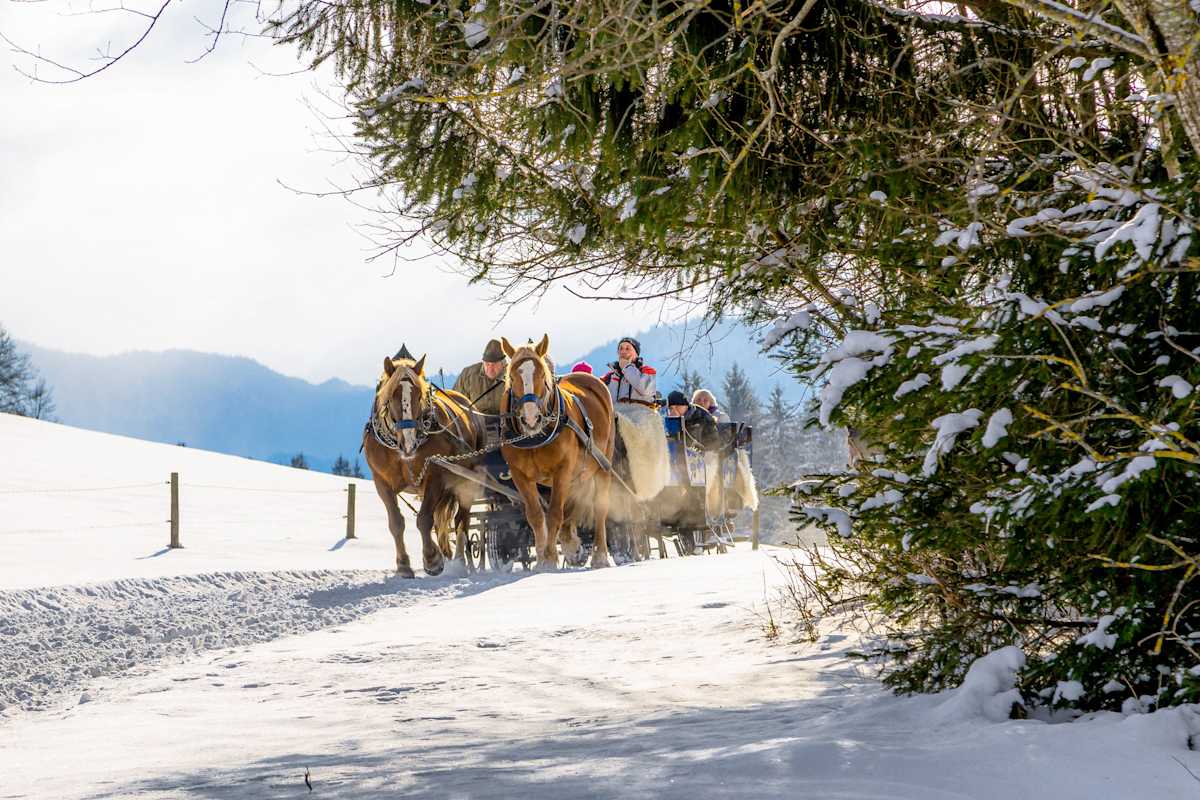 Winter im Allgäu