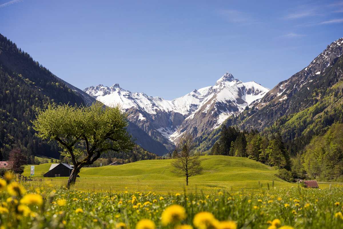 Fotostrecke Allgäu