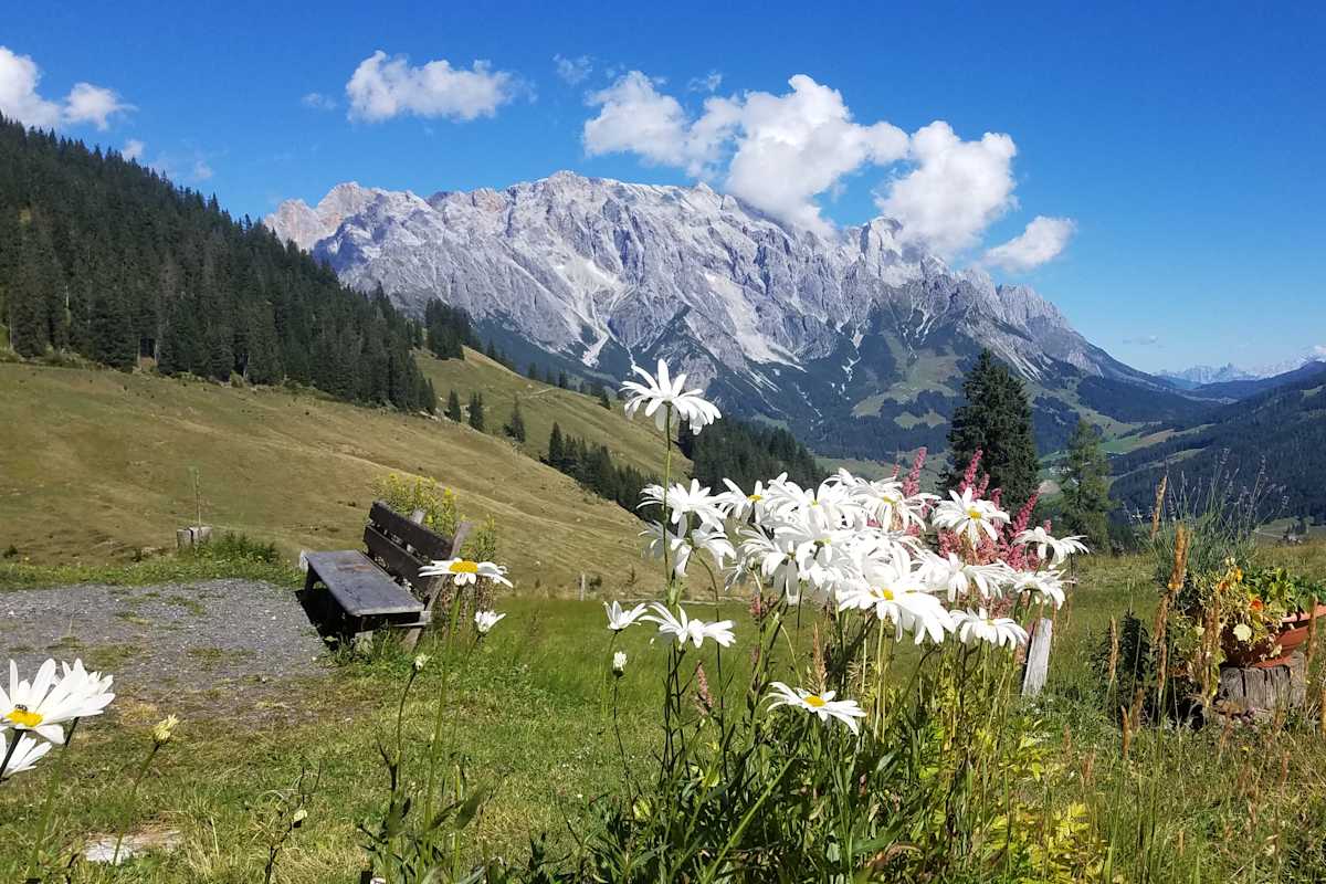 Wanderer am Weg nach Dienten