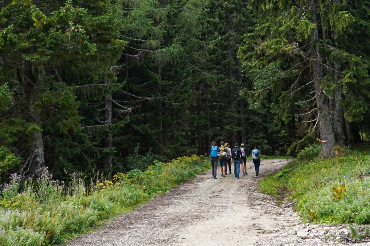 Mittagskogel