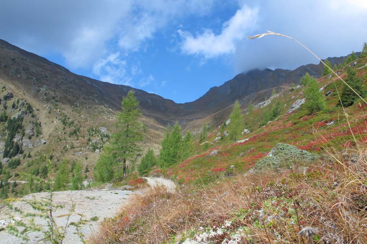 Val Visdende