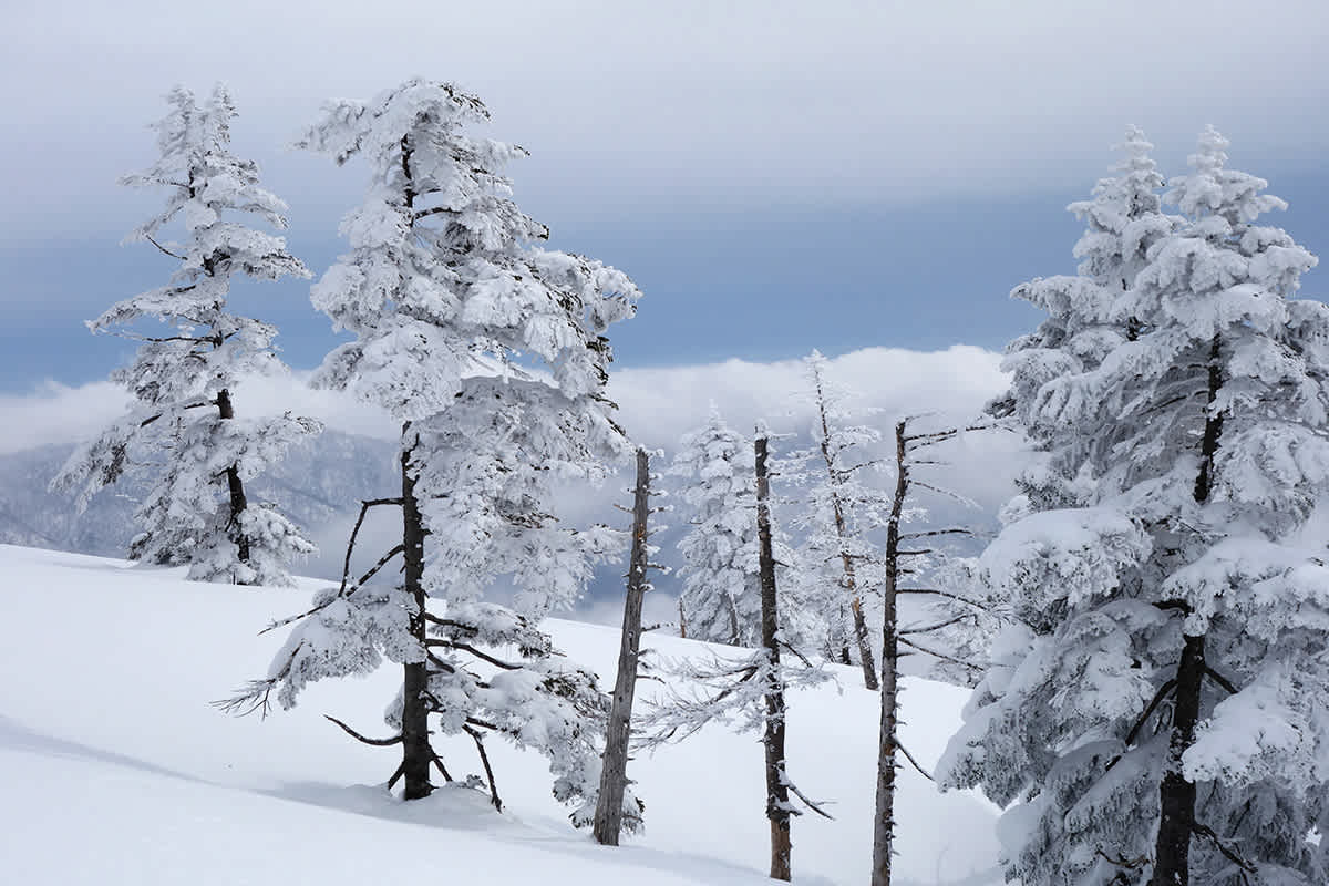 Skifahren in Japan