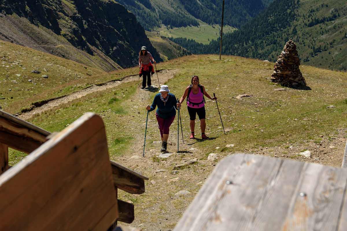 Wanderstöcke Wanderer