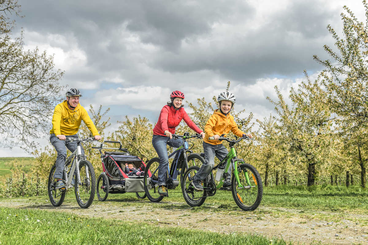 E-Bike Familie