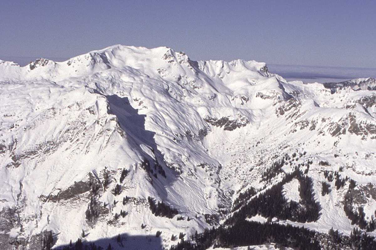 Großer Daumen