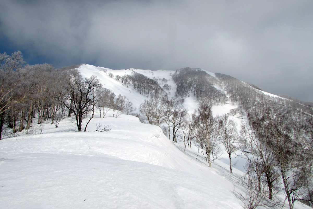 Spielwiese Hokkaido