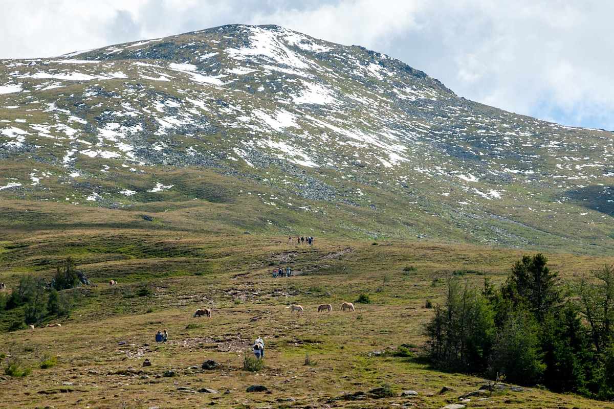 Die Grasberge im Murtal